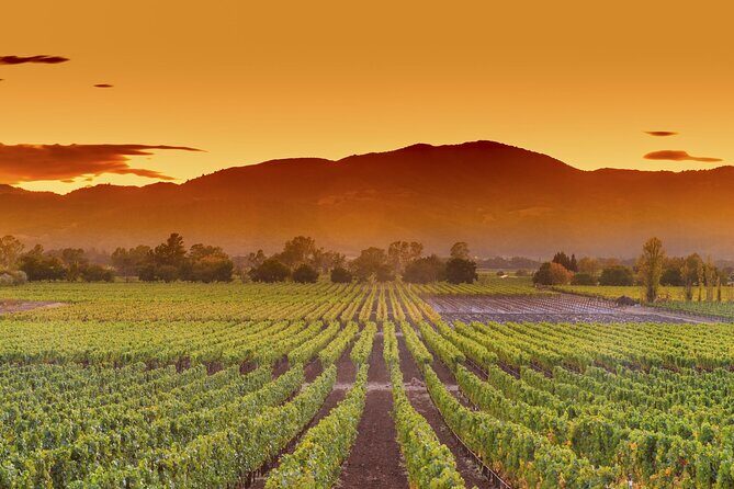 San Francisco Airport Private Transfer to Napa Valley - Who Should Consider This Service?