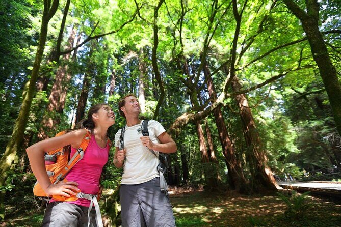 San Francisco Alcatraz Island and Guided Muir Woods Tour - Authentic Experiences and Customer Insights
