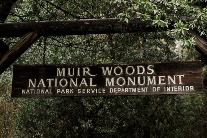 San Francisco Alcatraz Island and Guided Muir Woods Tour - The Sum Up