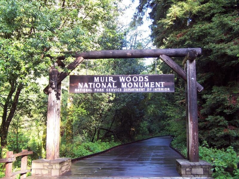San Francisco: Alcatraz Island & Guided Muir Woods Tour - Final Thoughts