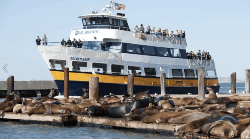 San Francisco: Alcatraz Island Prison Tour with Bay Cruise - FAQ