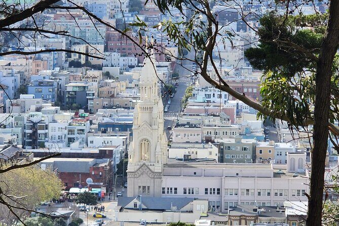 San Francisco Bay Cruise and City Combo Tour - What Past Travelers Say