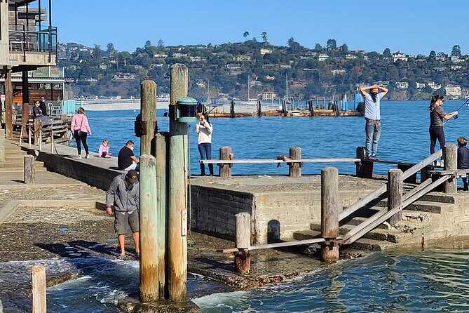San Francisco Bay Cruise, Muir Woods and Sausalito Combo Tour - Who Will Love This Tour?