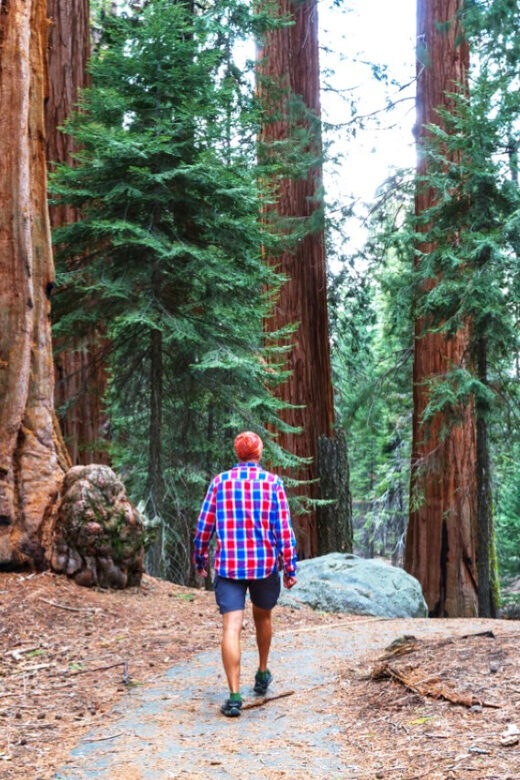 San Francisco: Bike Tour with Muir Woods and Sausalito Visit - Frequently Asked Questions