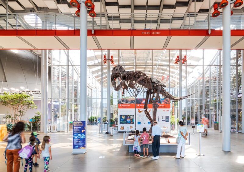 San Francisco: California Academy of Sciences Entry Ticket - A Deep Dive into the Experience