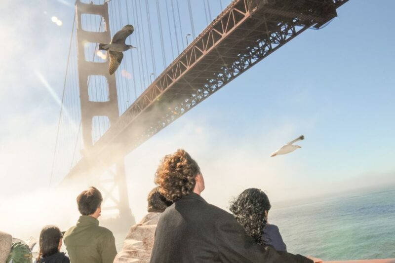 San Francisco: City Cruises Buffet Lunch or Dinner Cruise - What to Expect from the San Francisco Bay Cruise