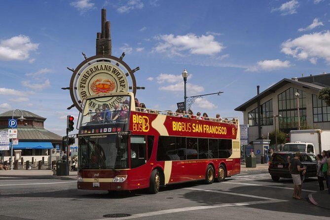 San Francisco: Coastal Redwoods Tour and Hop-on Hop-off Bus Tour - An In-Depth Look: What to Expect on This Tour