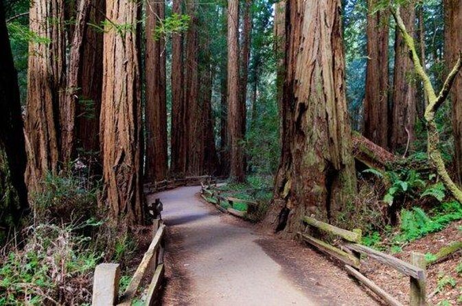 San Francisco: Coastal Redwoods Tour and Hop-on Hop-off Bus Tour - Final Thoughts