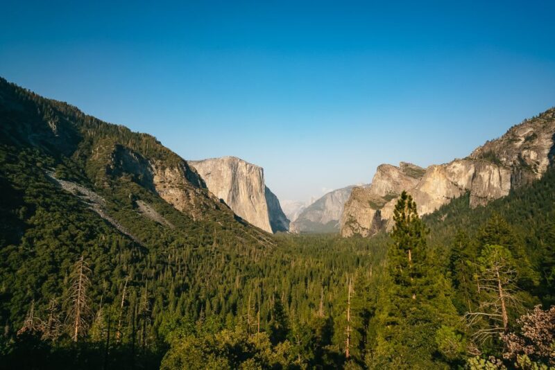 San Francisco: Day Trip to Yosemite with Giant Sequoias Hike - The Itinerary: What You Can Expect