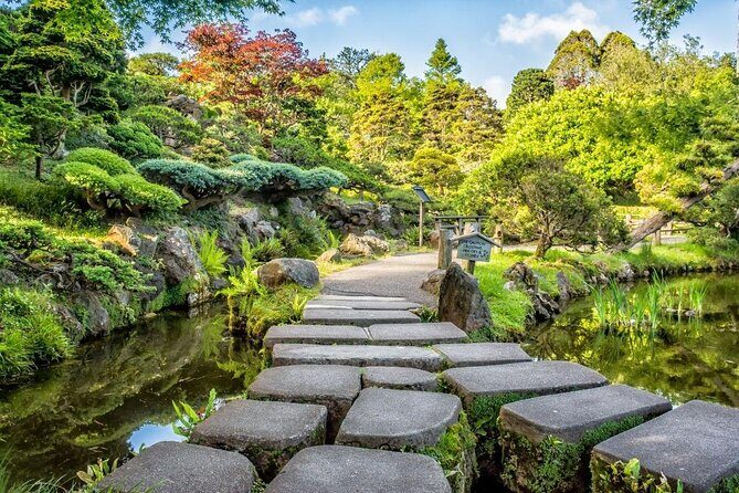 San Francisco Golden Gate Park Tour - Key Points