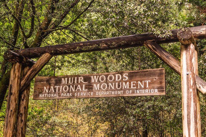 San Francisco, Golden Gate, Sausalito and Muir Woods Private Tour - A Personal Touch to San Francisco: An In-Depth Review of the Private Tour of Golden Gate, Sausalito & Muir Woods