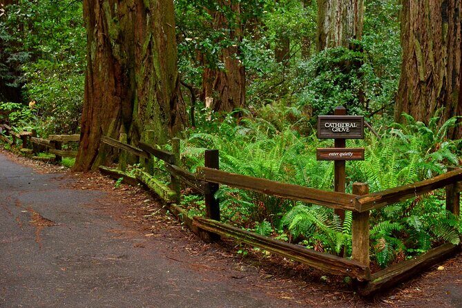 San Francisco, Golden Gate, Sausalito and Muir Woods Private Tour - Key Points