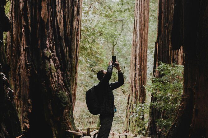 San Francisco, Golden Gate, Sausalito and Muir Woods Private Tour - The Sum Up: Is This Tour the Right Fit?