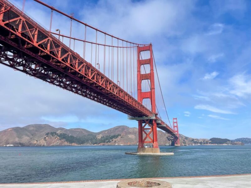 San Francisco Golden Gate Sausalito Muir Woods Private Tour - A Deep Dive into What You Can Expect