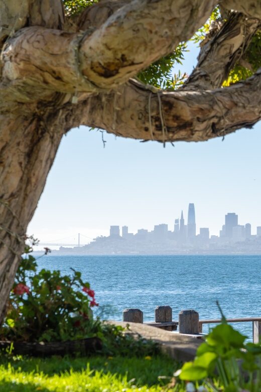 San Francisco Golden Gate Sausalito Muir Woods Private Tour - Who Will Enjoy This Tour?