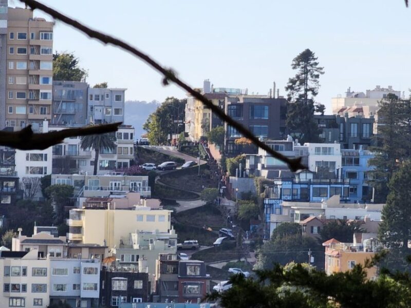 San Francisco: Guided Half-Day Group City Tour - Cultural Hotspots and Unique Sights