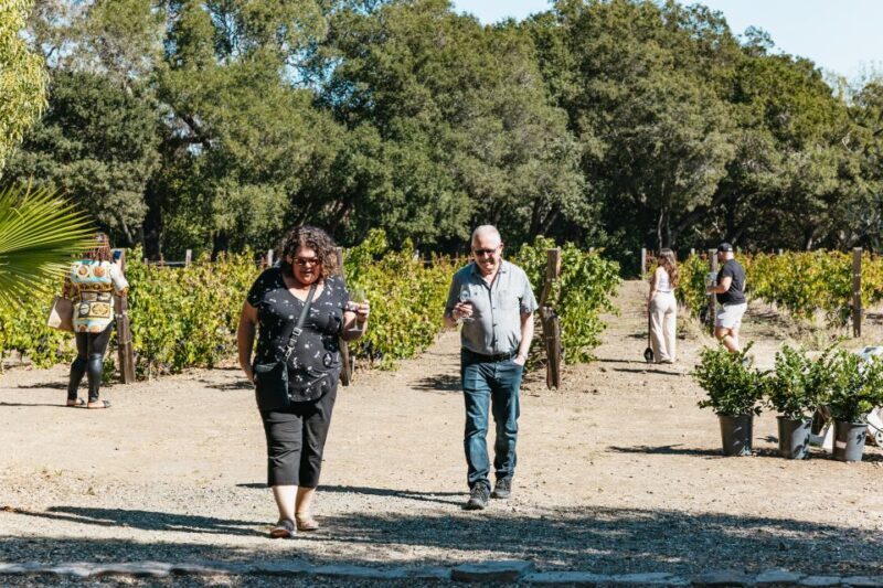 San Francisco: Half-Day Wine Country Excursion with Tastings - Final Thoughts: Is This Tour Worth It?