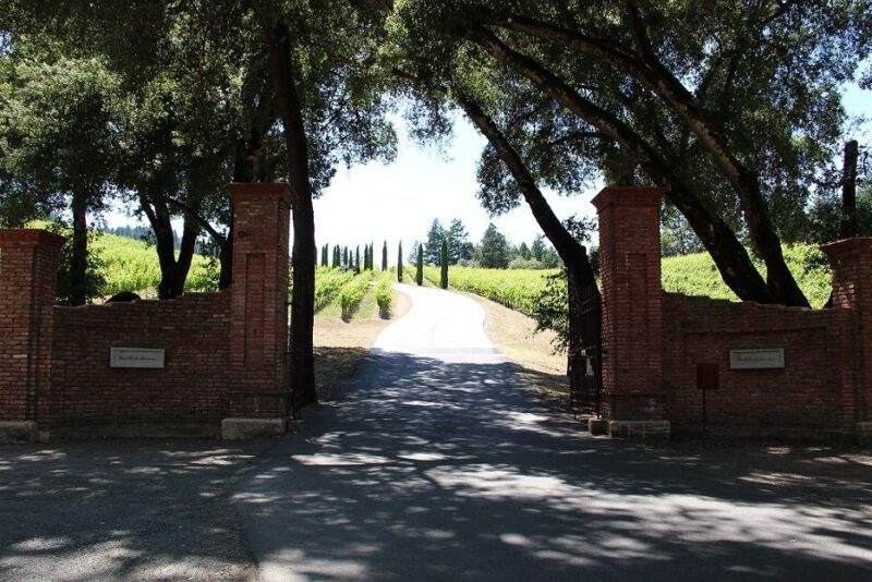 San Francisco: Half Day Wine Tour & Hop-On Hop-Off City Tour - Practical Details