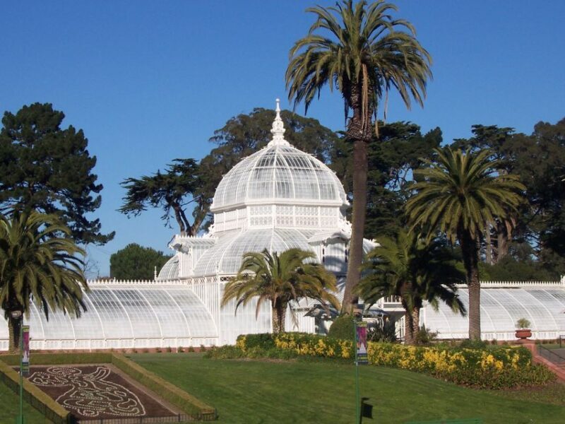 San Francisco: Half Day Wine Tour & Hop-On Hop-Off City Tour - Who This Tour Is Best For