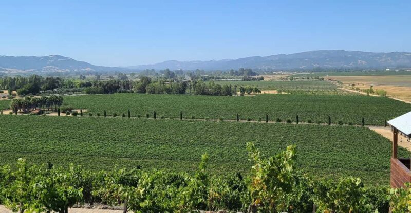 San Francisco: Half-Day Wine Tour with 2 Tastings Included - Exploring the Itinerary in Detail
