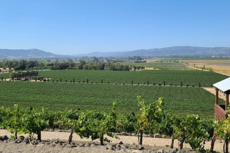 San Francisco: Half-Day Wine Tour with 2 Tastings Included - Transportation and Group Size