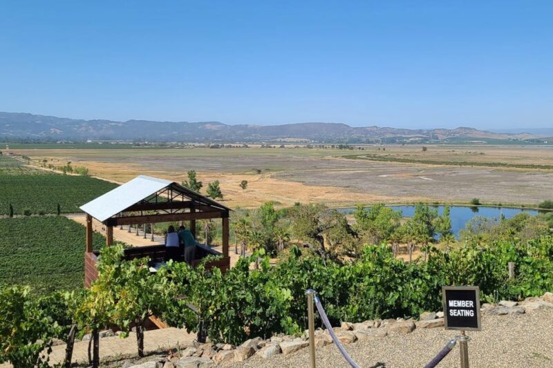 San Francisco: Half-Day Wine Tour with 2 Tastings Included - The Value of the Experience