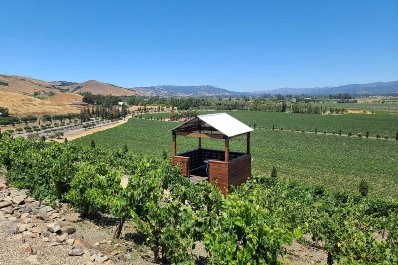 San Francisco: Half-Day Wine Tour with 2 Tastings Included - FAQ