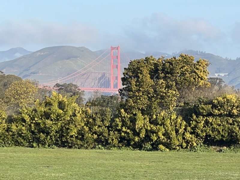 San Francisco: Major Landmarks Private Sightseeing Tour - Key Points