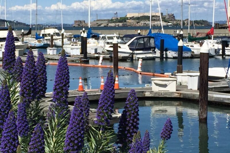 San Francisco: Major Landmarks Private Sightseeing Tour - FAQs