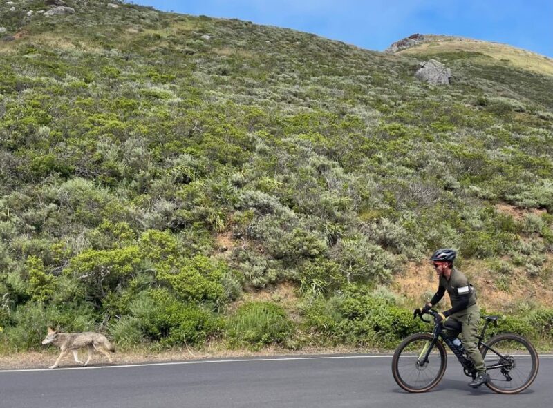 San Francisco: Marin Headlands Gravel Biking Tour +GG Bridge - Who Will Appreciate This Tour?