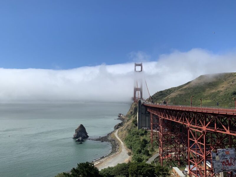 San Francisco: Muir Woods and Sausalito Small Group Tour - An In-Depth Review of the Tour