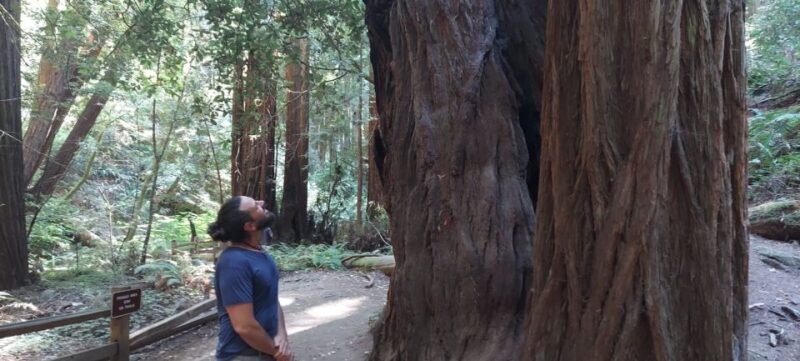 San Francisco: Muir Woods and Sausalito Small Group Tour - FAQs about the San Francisco: Muir Woods and Sausalito Small Group Tour