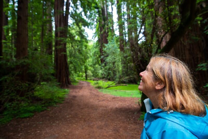 San Francisco: Muir Woods and Sausalito Tour with Admission - Discovering Muir Woods: A Natural Masterpiece