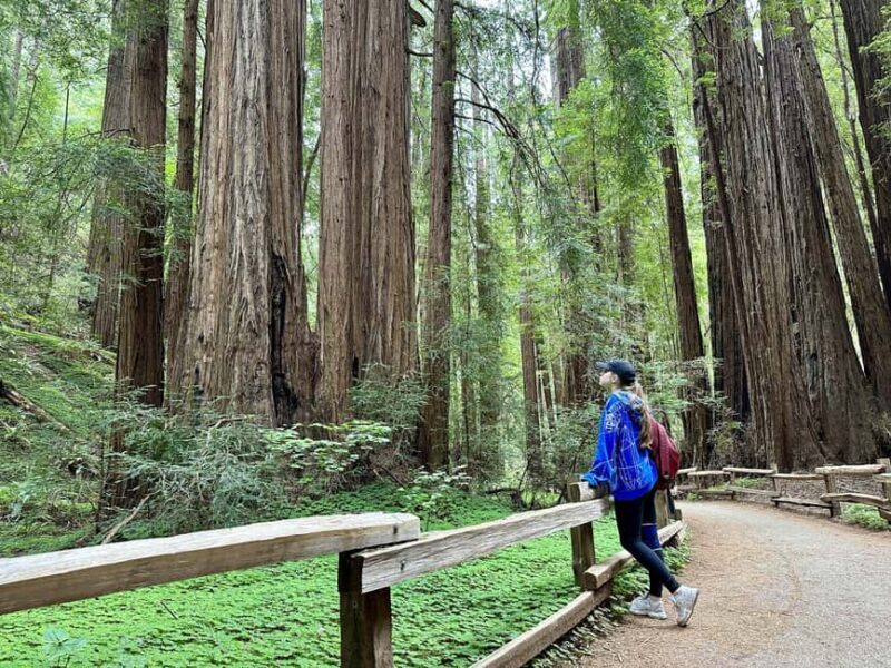 San Francisco: Muir Woods and Sausalito Tour with Admission - Who Is This Tour Best For?