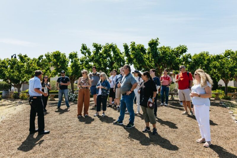 San Francisco: Muir Woods, Napa & Sonoma Valley Wine Tour - An Overview of the Experience