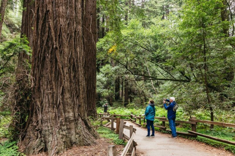 San Francisco: Muir Woods, Napa & Sonoma Valley Wine Tour - Value and Practical Considerations