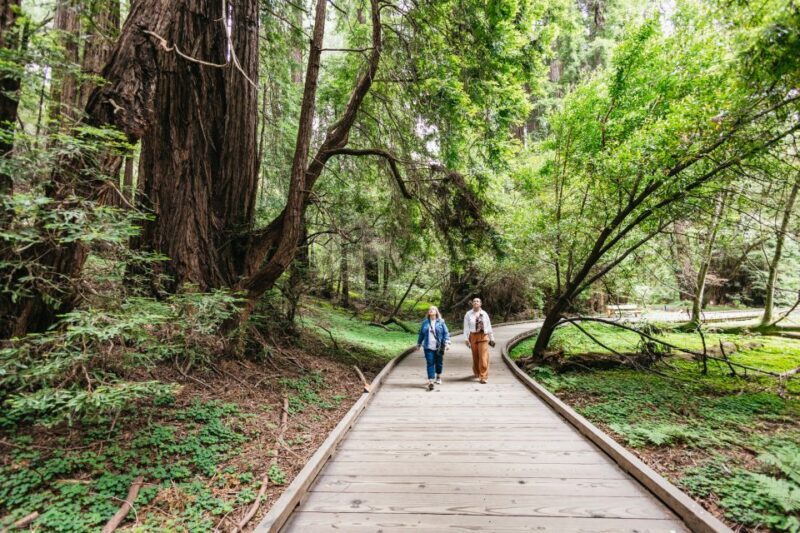 San Francisco: Muir Woods, Napa & Sonoma Valley Wine Tour - Who Should Consider This Tour?