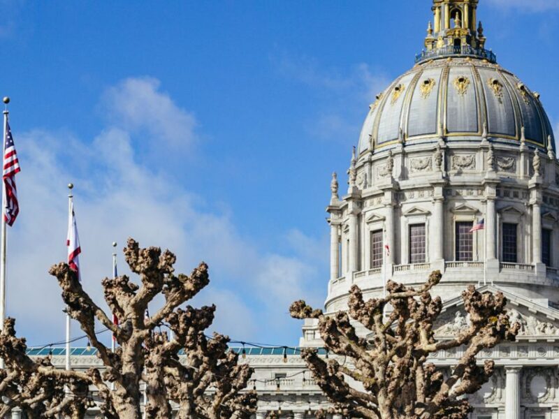 San Francisco: Muir Woods, San Francisco and Sausalito Tour - The Sum Up