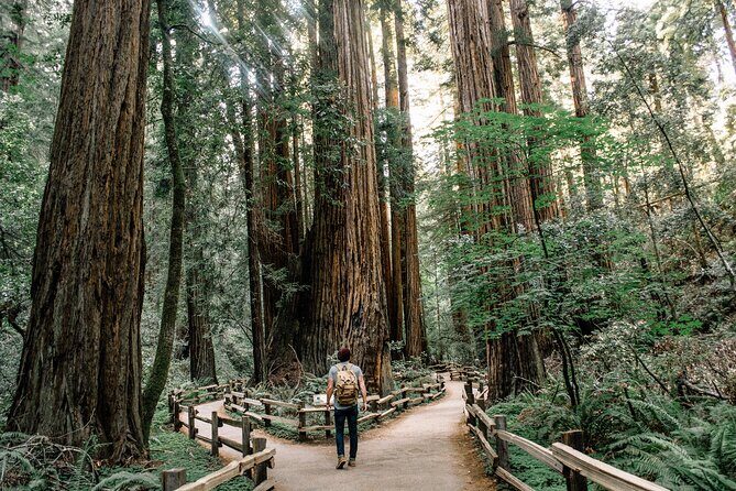 San Francisco, Muir Woods, Sausalito and optional Alcatraz tour - An In-Depth Look at the Tour Experience