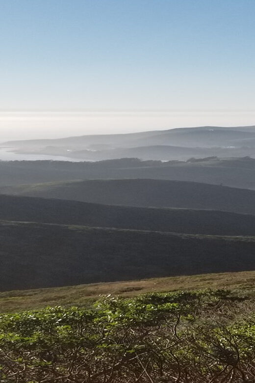 San Francisco: Muir Woods, Sausalito, and Sonoma Wine Tour - Who Will Love This Tour?