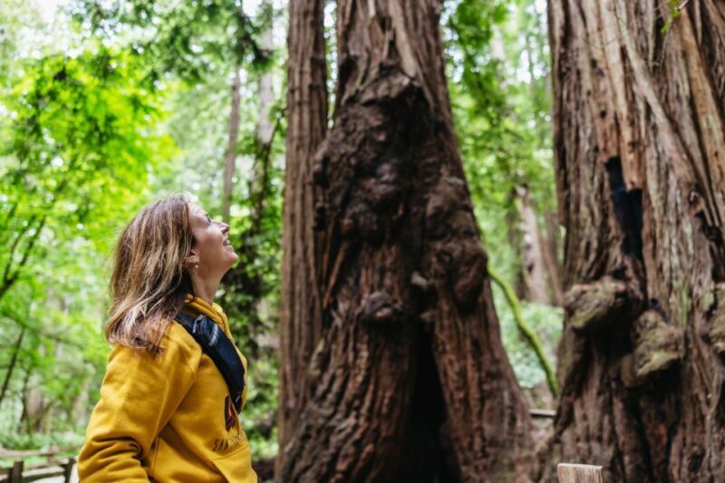 San Francisco: Muir Woods & Sausalito Tour with Ferry Option - The Practical Aspects You Need to Know