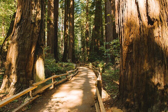 San Francisco Muir Woods Tour and Bike The Golden Gate Bridge - Analyzing the Value and Practical Aspects