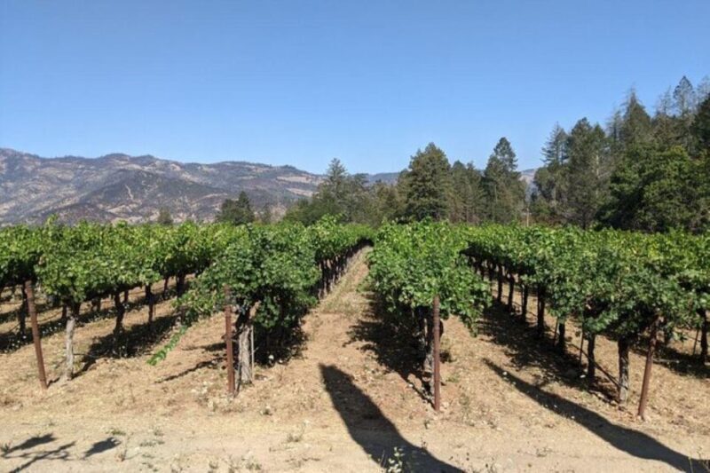 San Francisco: Napa and Sonoma Valley Private Wine Tour - FAQ