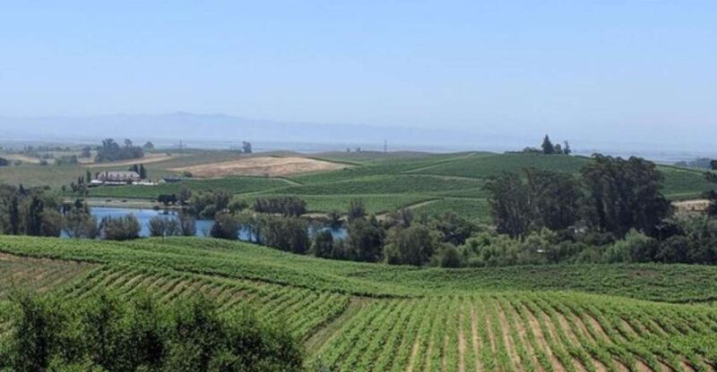 San Francisco: Napa and Sonoma Valley Private Wine Tour - Final Thoughts