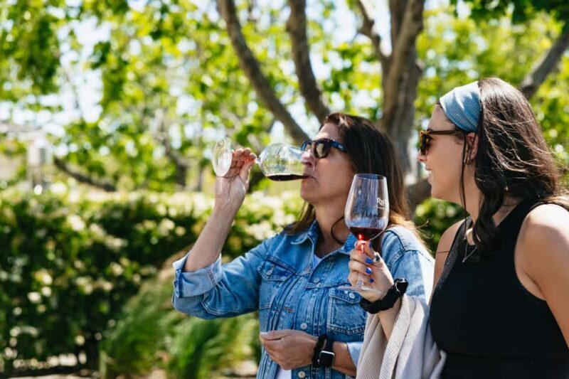 San Francisco: Napa and Sonoma Valley Wine Tour - An Honest Look at the Napa and Sonoma Valley Wine Tour