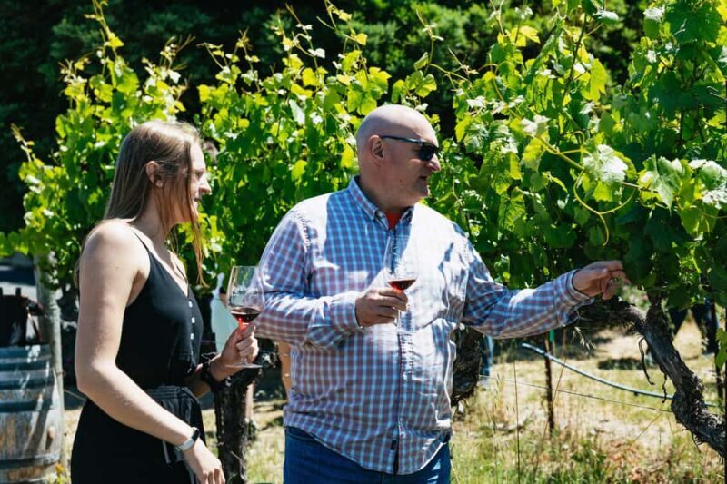 San Francisco: Napa and Sonoma Valley Wine Tour - FAQ