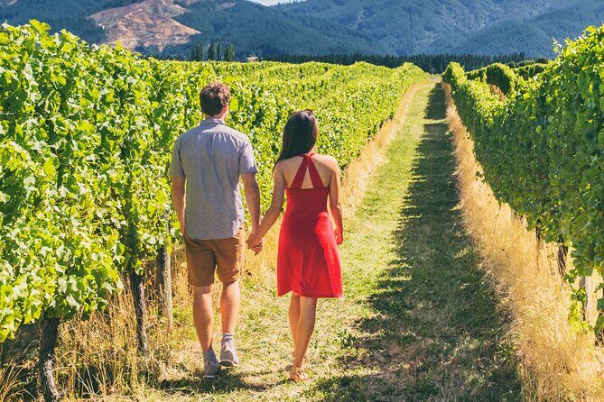 San Francisco: Napa & Sonoma Wine Tour & 24hr Hop-on Hop-off Tour - Key Points