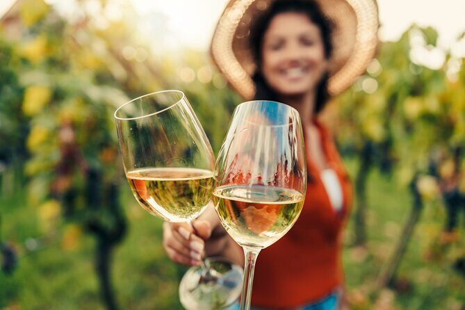 San Francisco: Napa & Sonoma Wine Tour & 24hr Hop-on Hop-off Tour - Who Would Love This Tour?