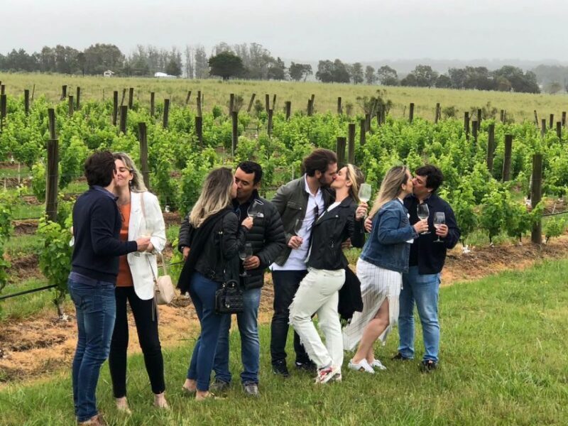 San Francisco: Napa Valley Half-Day Wine Tour with Tastings - The Wines & Tasting Experience