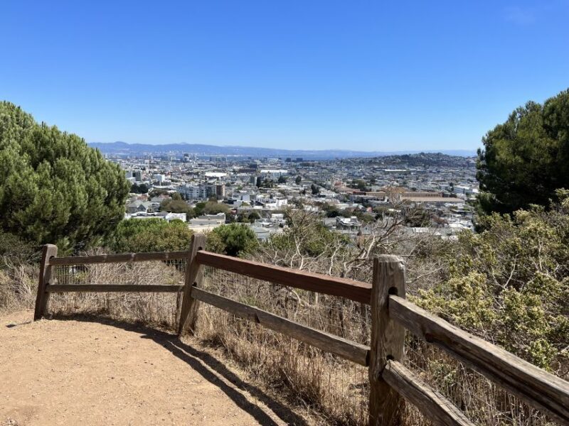 San Francisco: Neighborhood Walking Tour - 6 Route Options - An In-Depth Look at Each Route